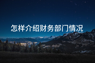 怎样介绍财务部门情况
