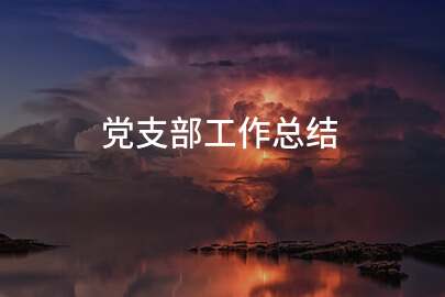 党支部工作总结
