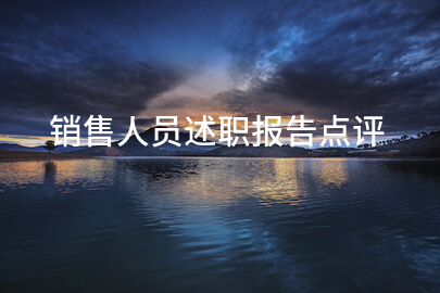 销售人员述职报告点评
