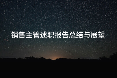 销售主管述职报告总结与展望