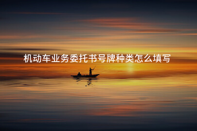 机动车业务委托书号牌种类怎么填写