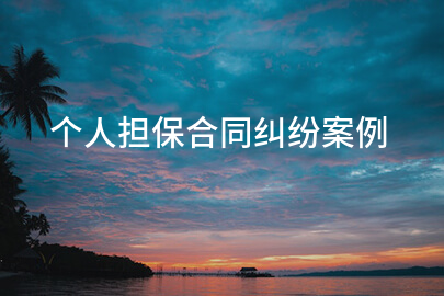 个人担保合同纠纷案例