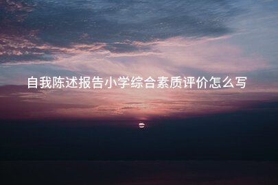 自我陈述报告小学综合素质评价怎么写