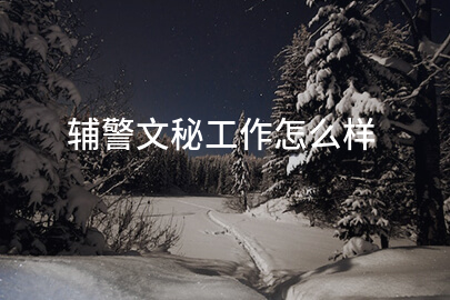 辅警文秘工作怎么样