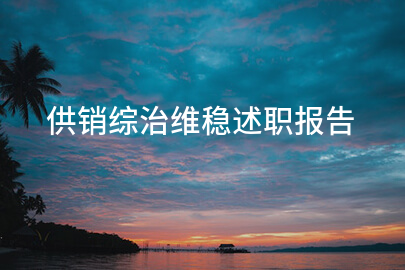 供销综治维稳述职报告
