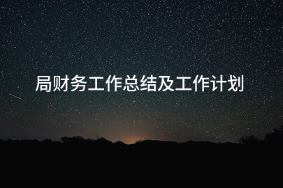 局财务工作总结及工作计划