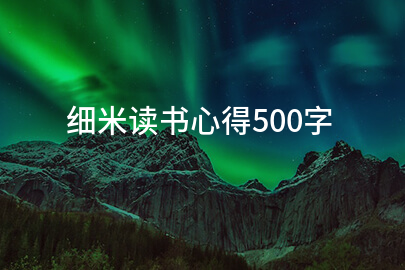 细米读书心得500字