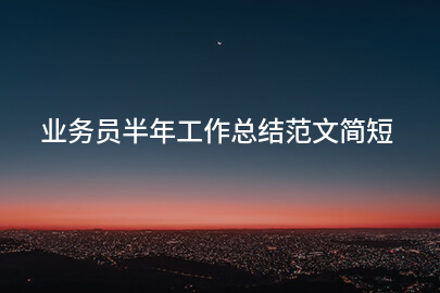 业务员半年工作总结范文简短