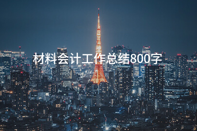 材料会计工作总结800字