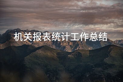 机关报表统计工作总结