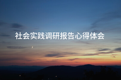 社会实践调研报告心得体会