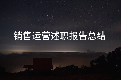 销售运营述职报告总结