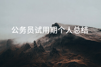 公务员试用期个人总结