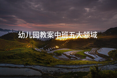 幼儿园教案中班五大领域