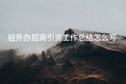 驻外办招商引资工作总结怎么写