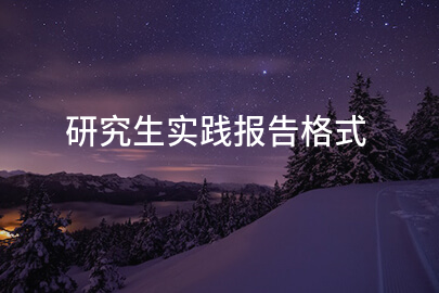 研究生实践报告格式