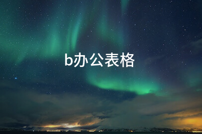b办公表格