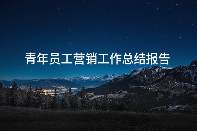 青年员工营销工作总结报告