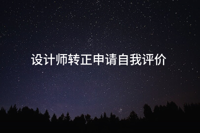 设计师转正申请自我评价