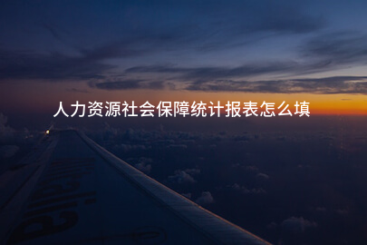 人力资源社会保障统计报表怎么填