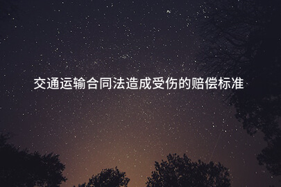 交通运输合同法造成受伤的赔偿标准