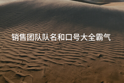 销售团队队名和口号大全霸气