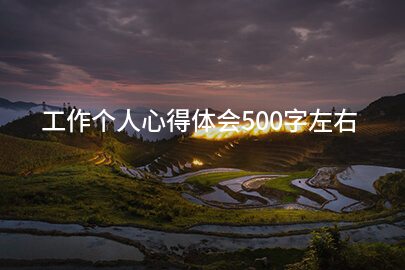 工作个人心得体会500字左右