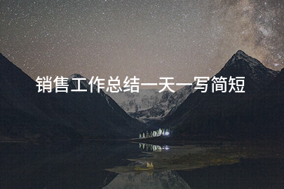 销售工作总结一天一写简短
