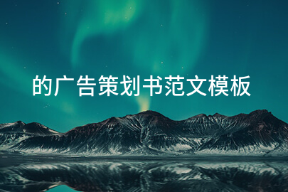 的广告策划书范文模板