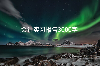 会计实习报告3000字