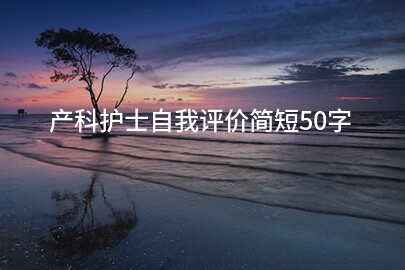 产科护士自我评价简短50字