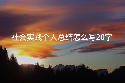 社会实践个人总结怎么写20字