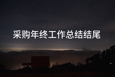采购年终工作总结结尾