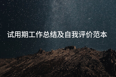 试用期工作总结及自我评价范本