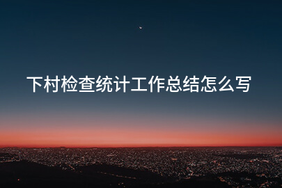 下村检查统计工作总结怎么写