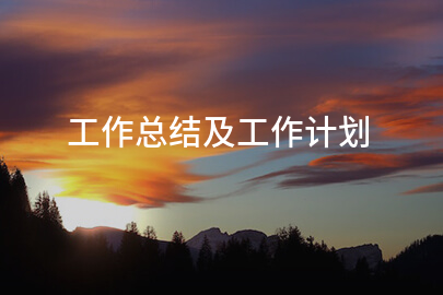 工作总结及工作计划