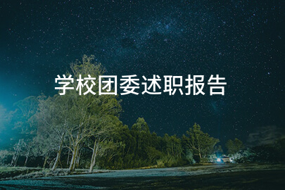 学校团委述职报告