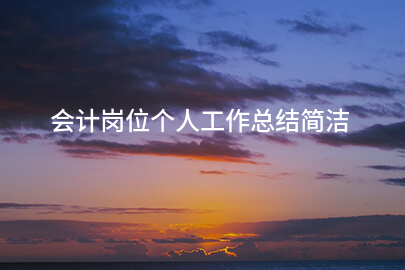会计岗位个人工作总结简洁