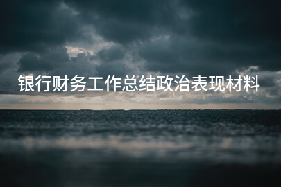 银行财务工作总结政治表现材料