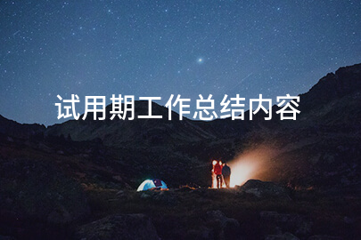 试用期工作总结内容