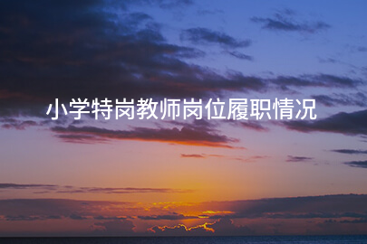 小学特岗教师岗位履职情况