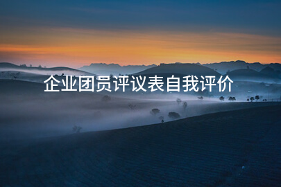 企业团员评议表自我评价