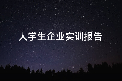 大学生企业实训报告