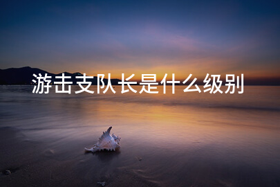 游击支队长是什么级别