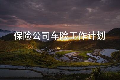 保险公司车险工作计划