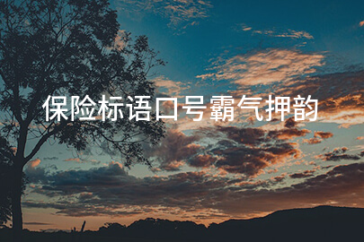 保险标语口号霸气押韵