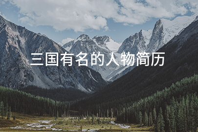 三国有名的人物简历