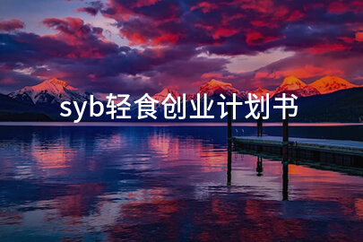 syb轻食创业计划书