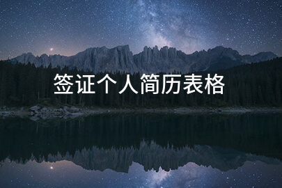签证个人简历表格