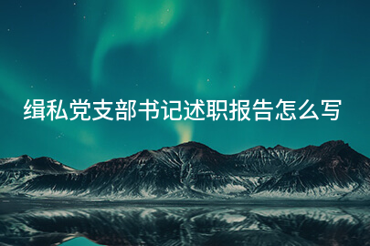 缉私党支部书记述职报告怎么写